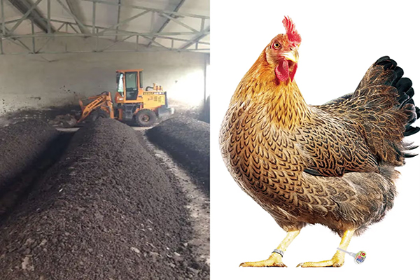 como-hacer-compost-con-estiercol-de-pollo